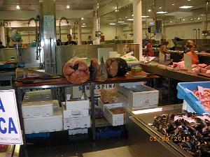 2015 06 06 et 07  APNA A DALIAS ALMERIA  (79)